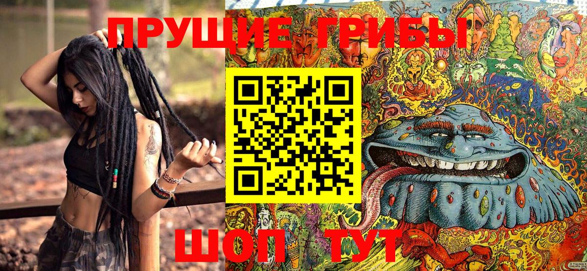 Псилоцибиновые грибы MAGIC MUSHROOMS  Вход с VPN  Киреевск 